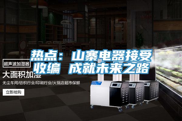 熱點:山寨電器接受收編 成就未來之路