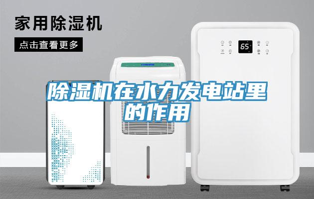 除濕機在水力發電站里的作用