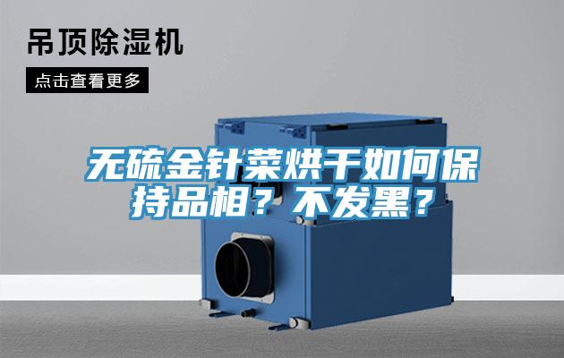 無硫金針菜烘干如何保持品相?不發黑?