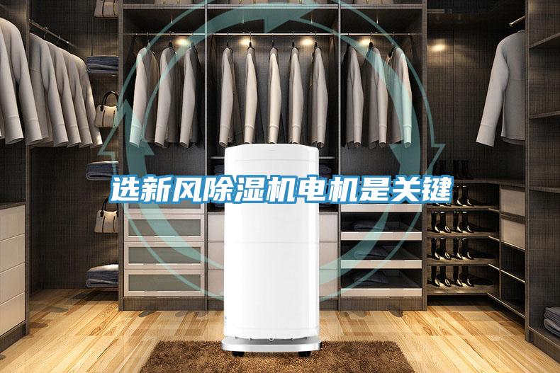 選新風除濕機電機是關鍵