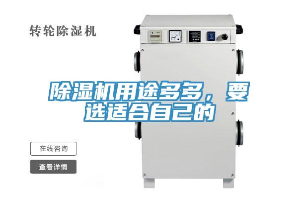 除濕機用途多多，要選適合自己的