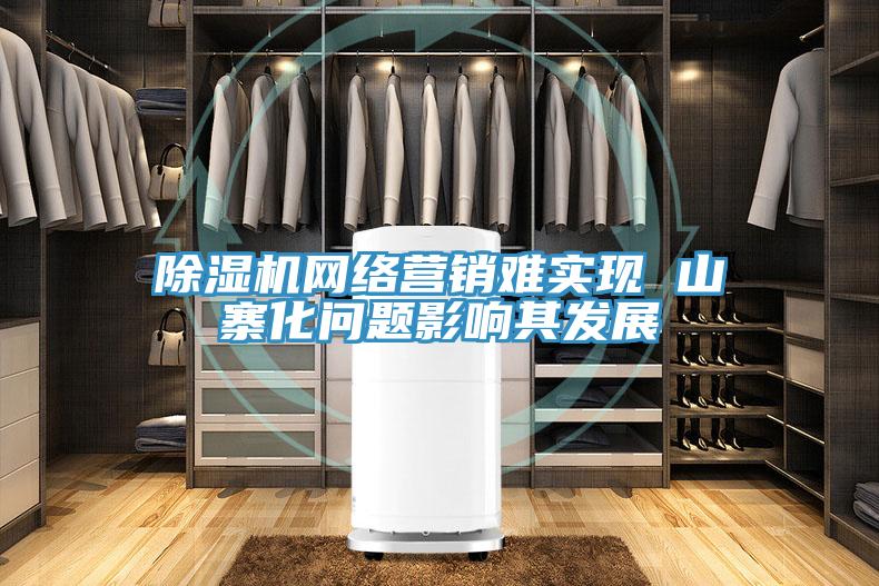 除濕機網絡營銷難實現 山寨化問題影響其發展