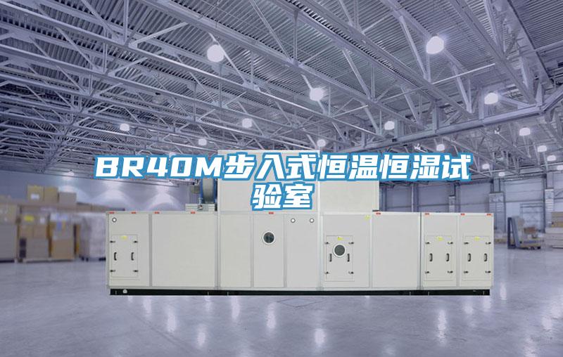 BR40M步入式恒溫恒濕試驗室