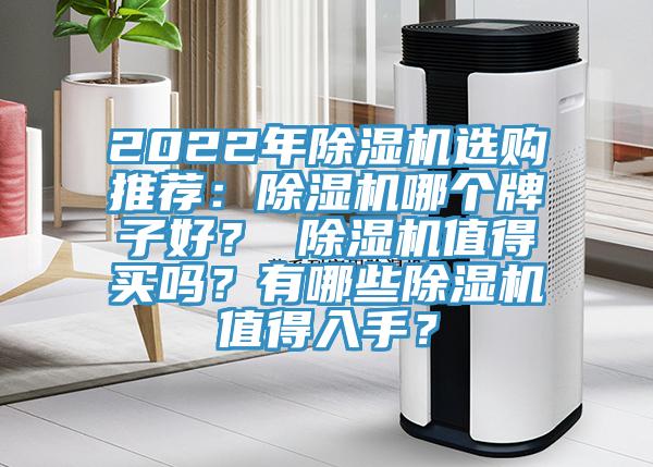 2022年除濕機選購推薦:除濕機哪個牌子好? 除濕機值得買嗎?有哪些除濕機值得入手?