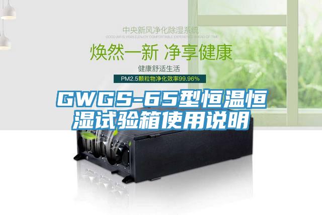 GWGS-65型恒溫恒濕試驗箱使用說明