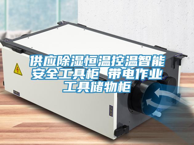 供應除濕恒溫控溫智能安全工具柜 帶電作業工具儲物柜