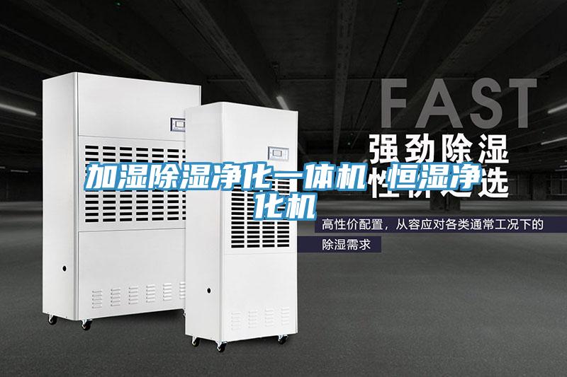 加濕除濕凈化一體機 恒濕凈化機