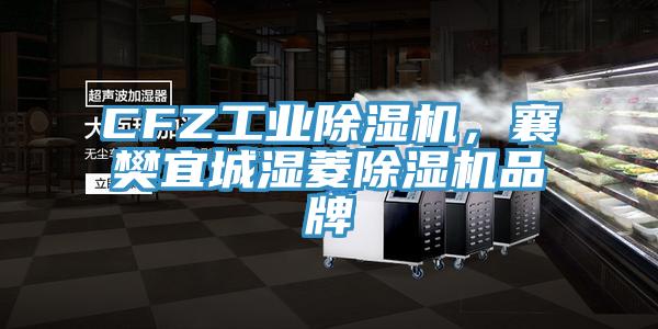 CFZ工業除濕機，襄樊宜城濕菱除濕機品牌