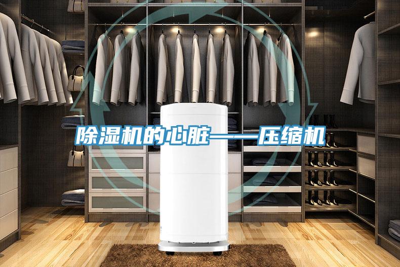 除濕機的心臟——壓縮機