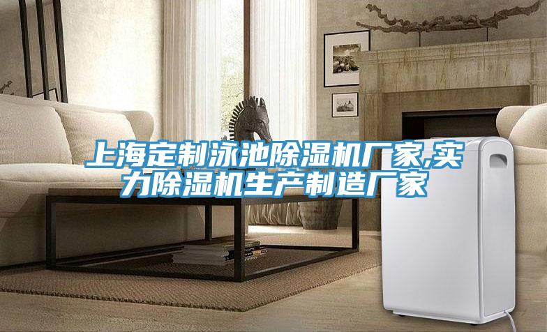 上海定制泳池除濕機廠家,實力除濕機生產制造廠家