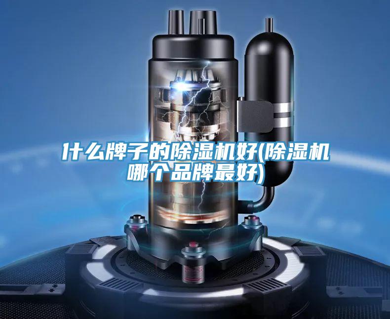 什么牌子的除濕機(jī)好(除濕機(jī)哪個(gè)品牌最好)