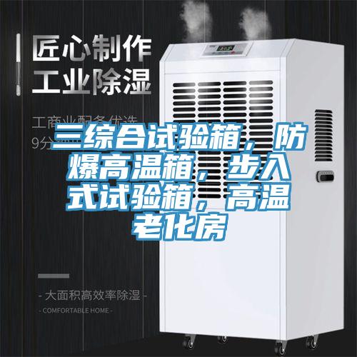 三綜合試驗箱，防爆高溫箱，步入式試驗箱，高溫老化房