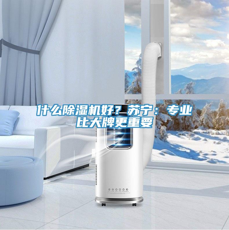 什么除濕機好？蘇寧：專業比大牌更重要