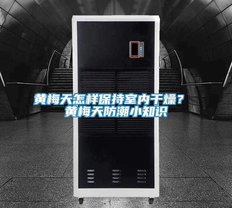 黃梅天怎樣保持室內干燥？ 黃梅天防潮小知識