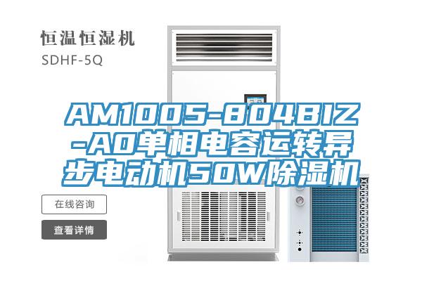 AM1005-804BIZ-A0單相電容運(yùn)轉(zhuǎn)異步電動機(jī)50W除濕機(jī)
