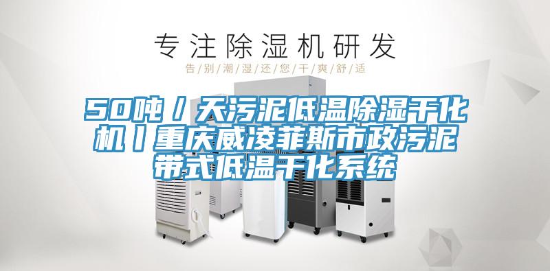 50噸／天污泥低溫除濕干化機丨重慶威凌菲斯市政污泥帶式低溫干化系統