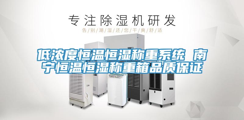 低濃度恒溫恒濕稱重系統 南寧恒溫恒濕稱重箱品質保證