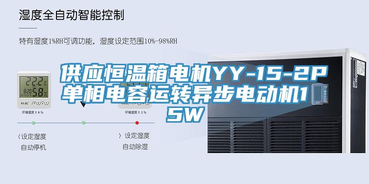 供應恒溫箱電機YY-15-2P單相電容運轉異步電動機15W