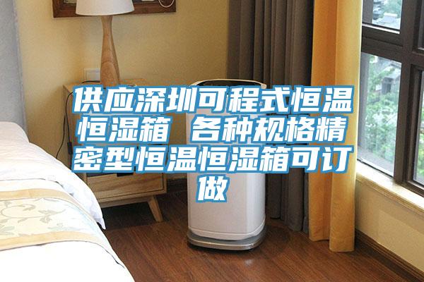 供應深圳可程式恒溫恒濕箱 各種規格精密型恒溫恒濕箱可訂做