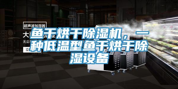 魚干烘干除濕機，一種低溫型魚干烘干除濕設備