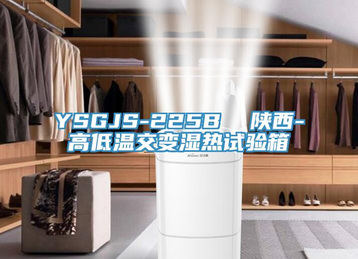 YSGJS-225B  陜西-高低溫交變濕熱試驗箱