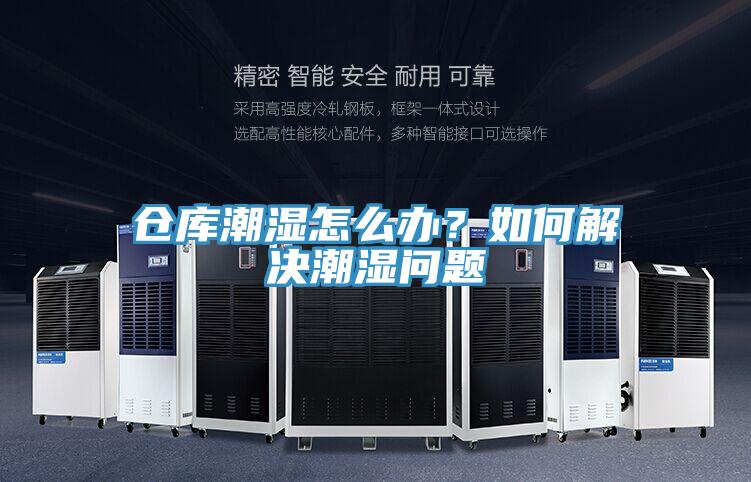 倉庫潮濕怎么辦？如何解決潮濕問題