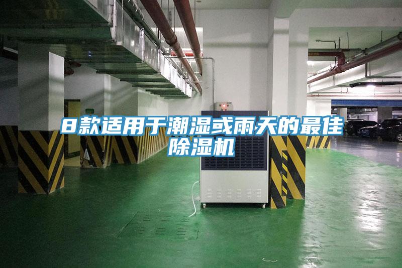 8款適用于潮濕或雨天的最佳除濕機