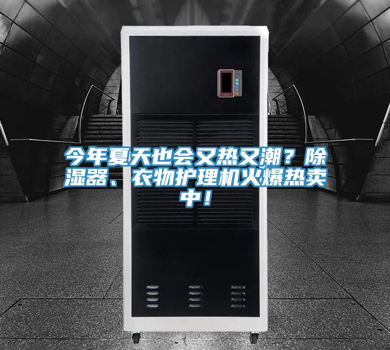 今年夏天也會又熱又潮？除濕器、衣物護理機火爆熱賣中！