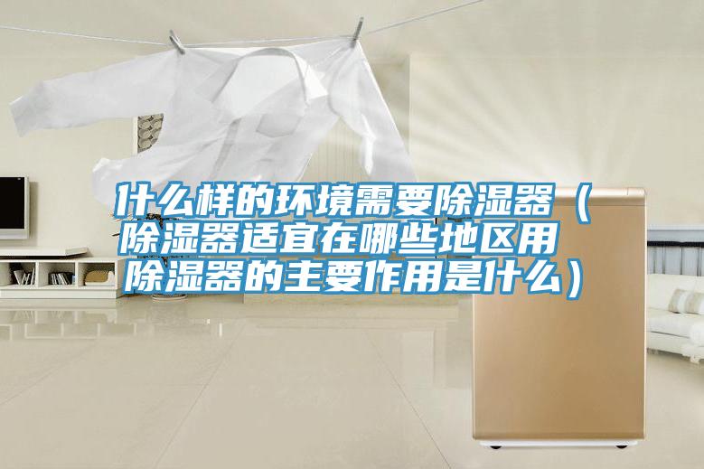 什么樣的環境需要除濕器（除濕器適宜在哪些地區用 除濕器的主要作用是什么）