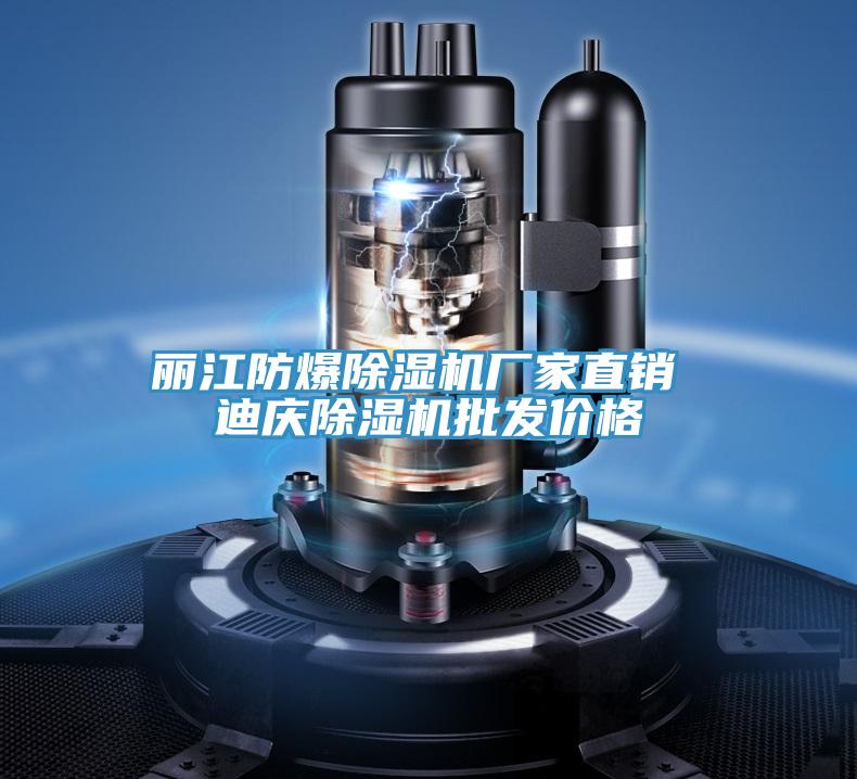 麗江防爆除濕機(jī)廠家直銷 迪慶除濕機(jī)批發(fā)價(jià)格