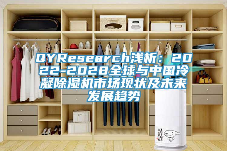 QYResearch淺析:2022-2028全球與中國(guó)冷凝除濕機(jī)市場(chǎng)現(xiàn)狀及未來(lái)發(fā)展趨勢(shì)
