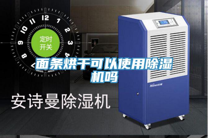 面條烘干可以使用除濕機嗎