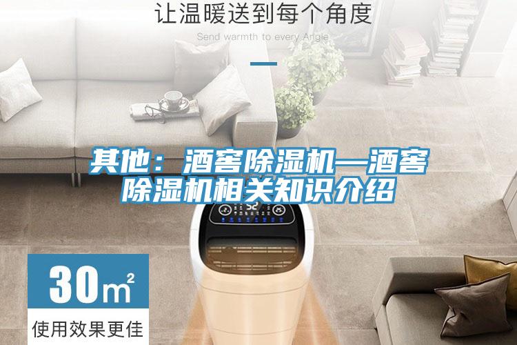 其他：酒窖除濕機—酒窖除濕機相關知識介紹