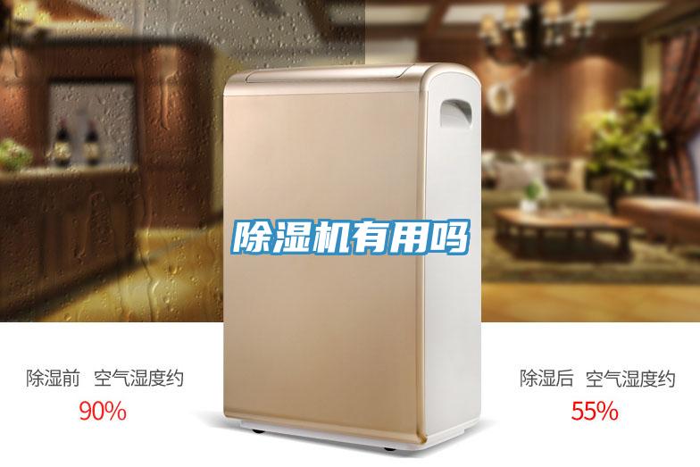 除濕機(jī)有用嗎