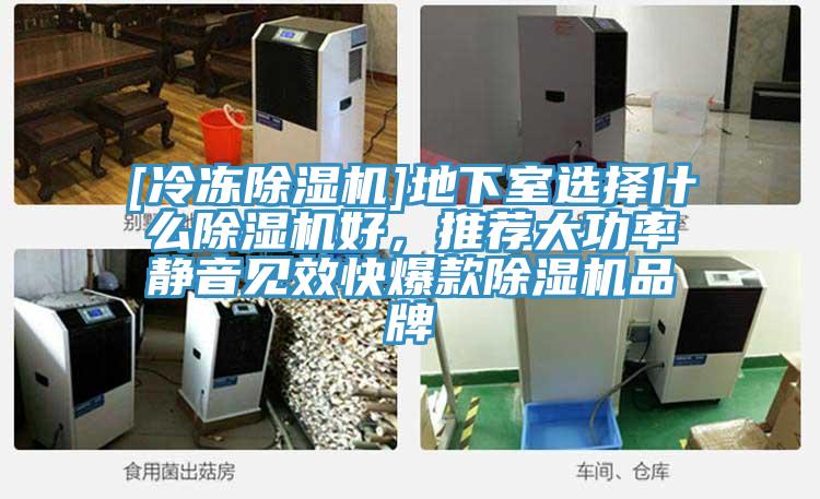 [冷凍除濕機]地下室選擇什么除濕機好，推薦大功率靜音見效快爆款除濕機品牌