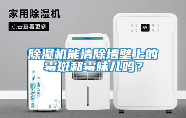 除濕機能清除墻壁上的霉斑和霉味兒嗎？