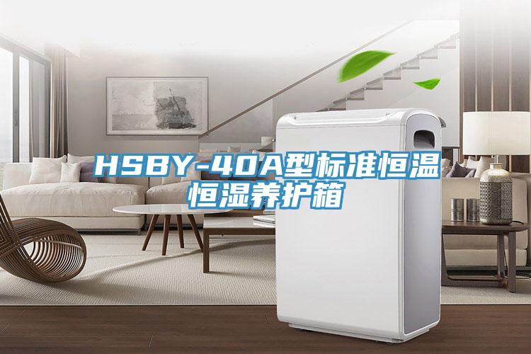 HSBY-40A型標準恒溫恒濕養護箱