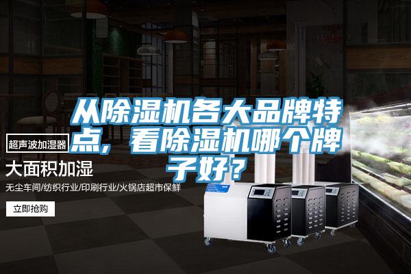從除濕機(jī)各大品牌特點(diǎn), 看除濕機(jī)哪個(gè)牌子好？