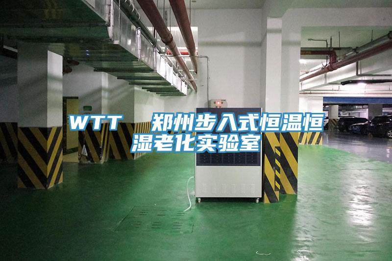 WTT  鄭州步入式恒溫恒濕老化實驗室