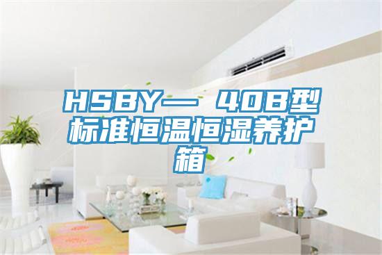 HSBY— 40B型標準恒溫恒濕養護箱