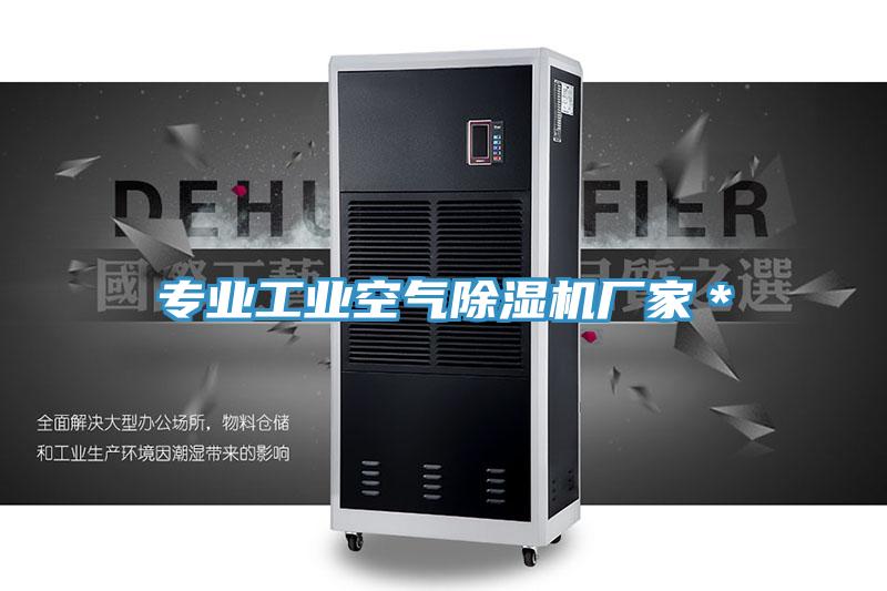 專業(yè)工業(yè)空氣除濕機(jī)廠家＊