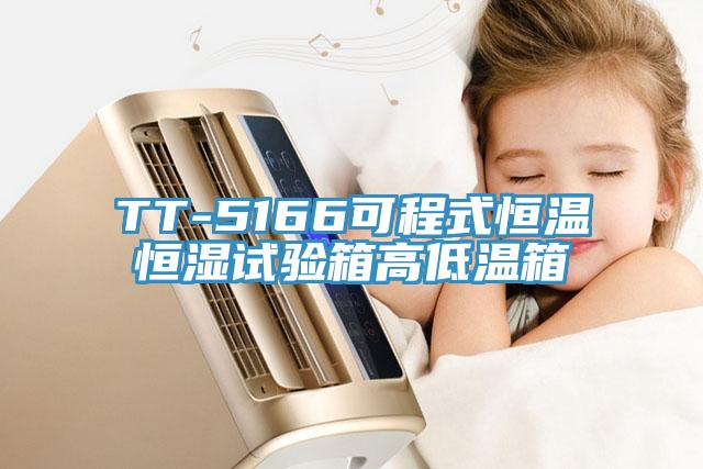 TT-5166可程式恒溫恒濕試驗箱高低溫箱
