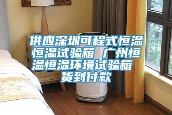 供應深圳可程式恒溫恒濕試驗箱 廣州恒溫恒濕環境試驗箱 貨到付款