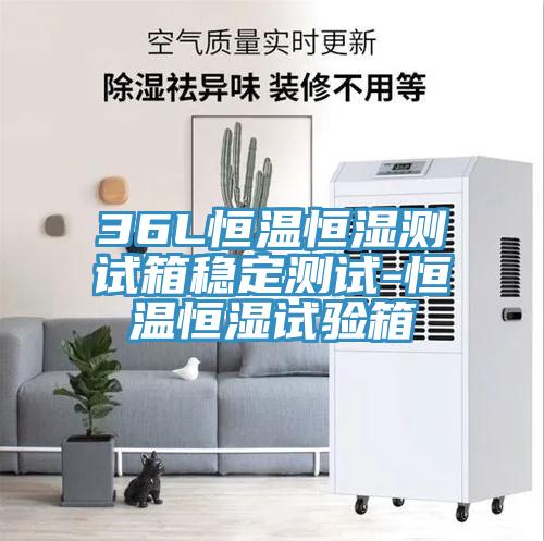 36L恒溫恒濕測試箱穩定測試-恒溫恒濕試驗箱