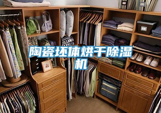 陶瓷坯體烘干除濕機