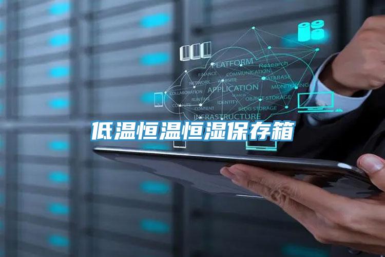 低溫恒溫恒濕保存箱