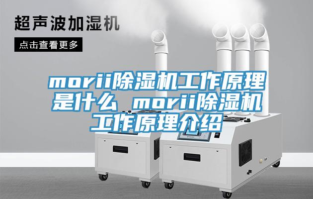 morii除濕機工作原理是什么 morii除濕機工作原理介紹