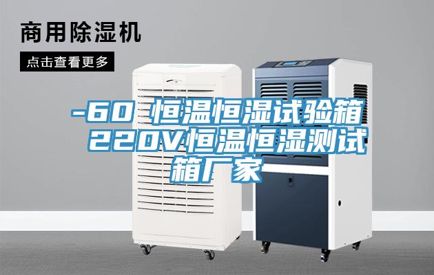 -60℃恒溫恒濕試驗箱 220V恒溫恒濕測試箱廠家