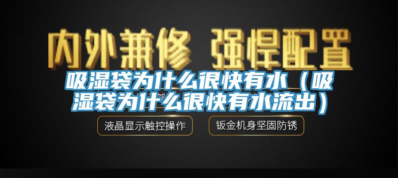 吸濕袋為什么很快有水（吸濕袋為什么很快有水流出）