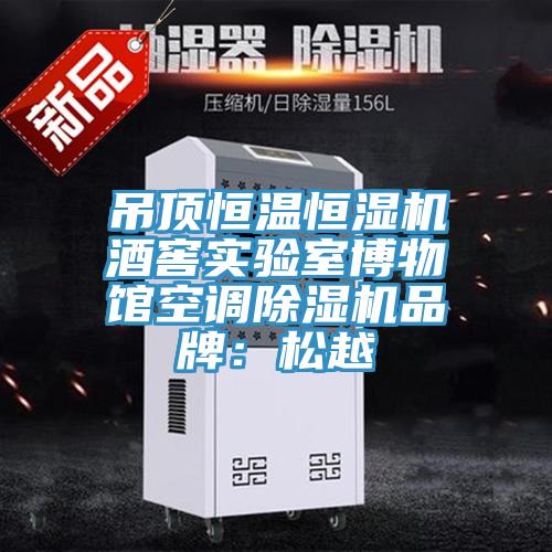吊頂恒溫恒濕機酒窖實驗室博物館空調除濕機品牌：松越